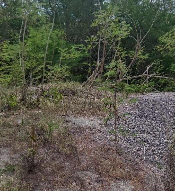 Third image of Coates Pen in May Pen, Clarendon, Jamaica - property is For Sale