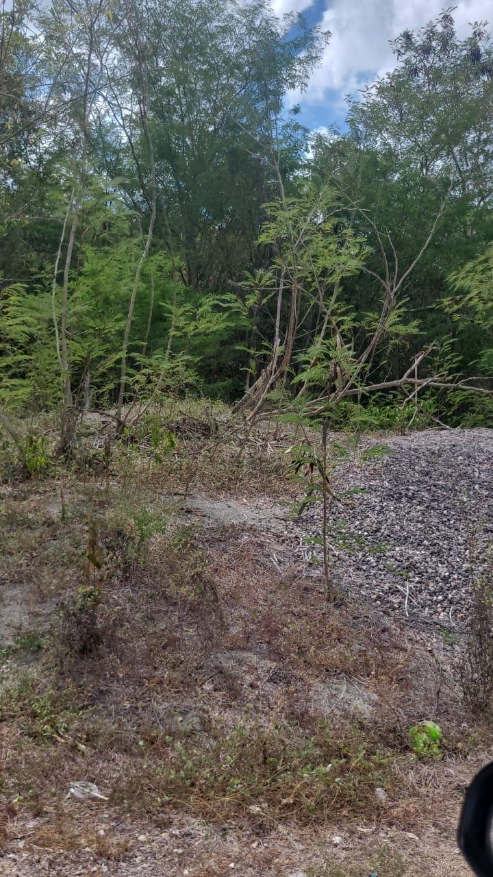 Third image of Coates Pen in May Pen, Clarendon, Jamaica - property is For Sale