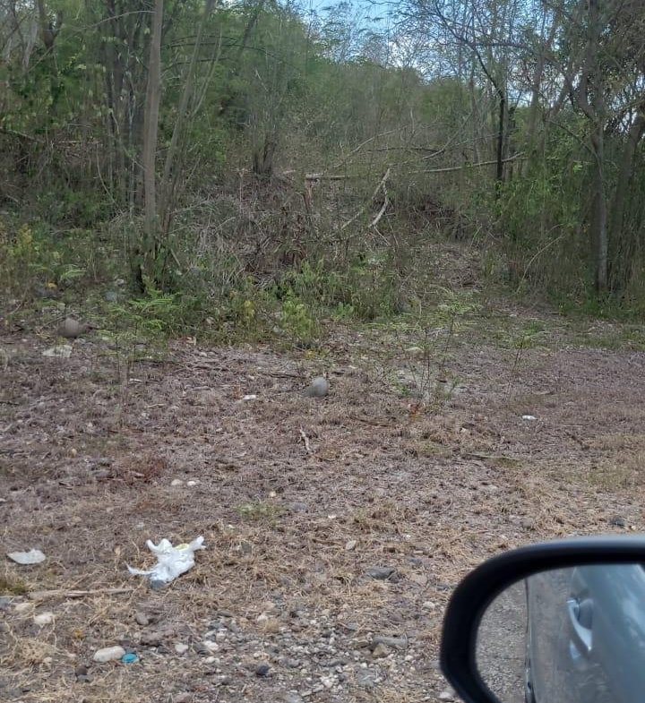 Fourth image of Coates Pen in May Pen, Clarendon, Jamaica - property is For Sale