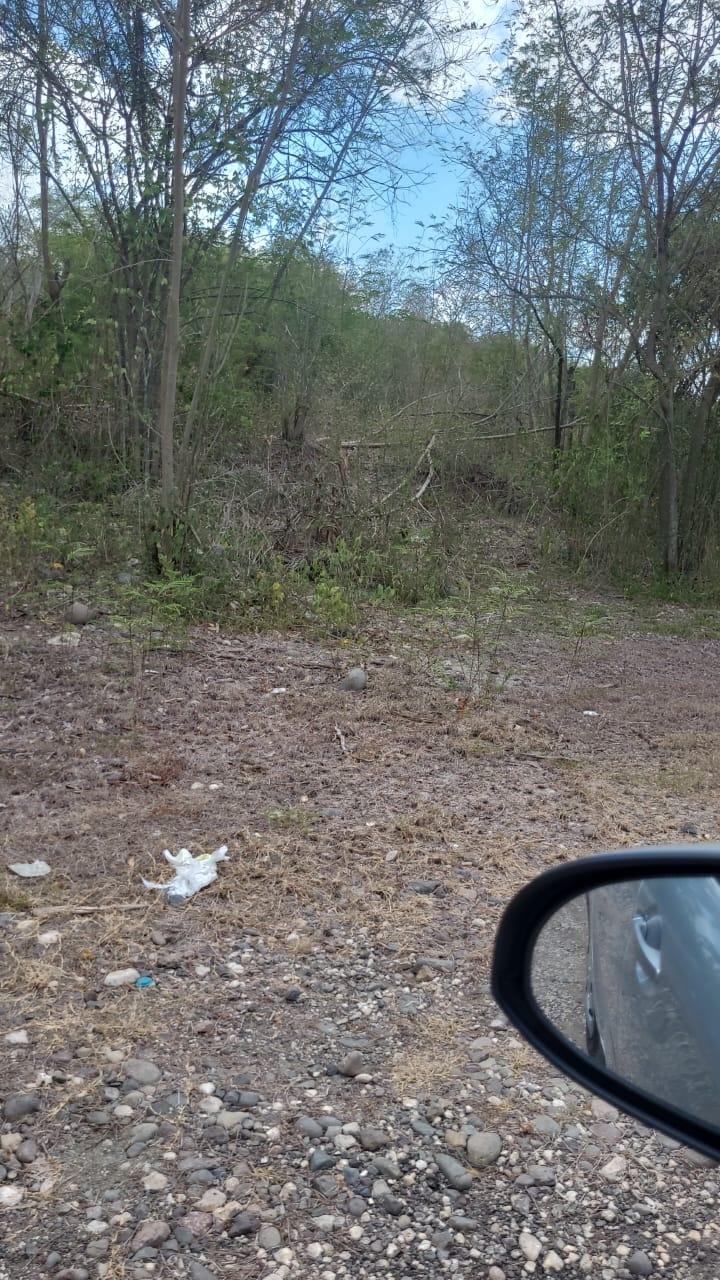 Fourth image of Coates Pen in May Pen, Clarendon, Jamaica - property is For Sale