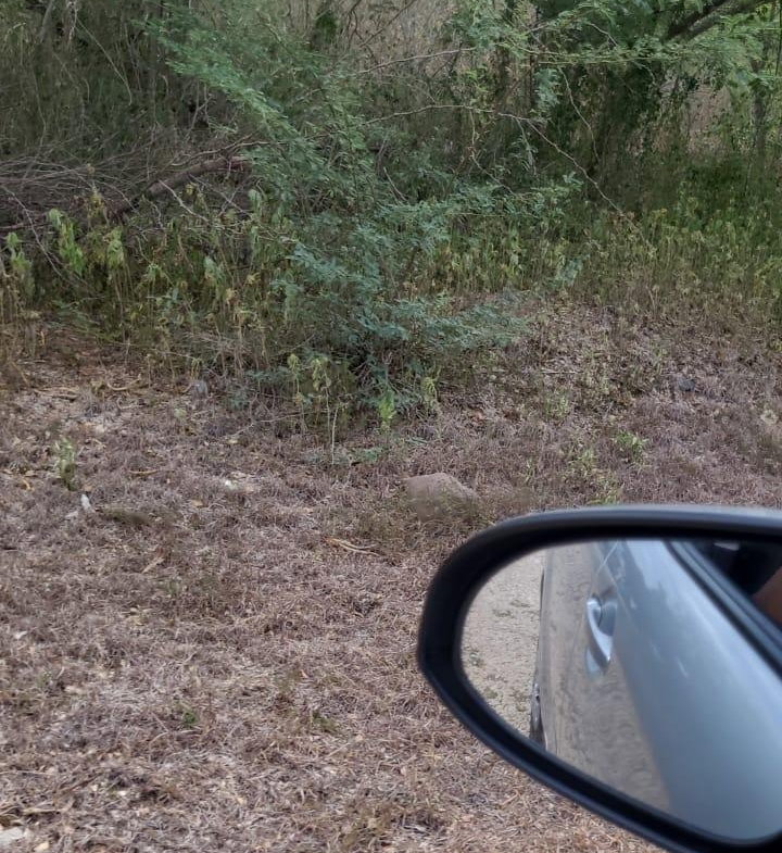 Fifth image of Coates Pen in May Pen, Clarendon, Jamaica - property is For Sale