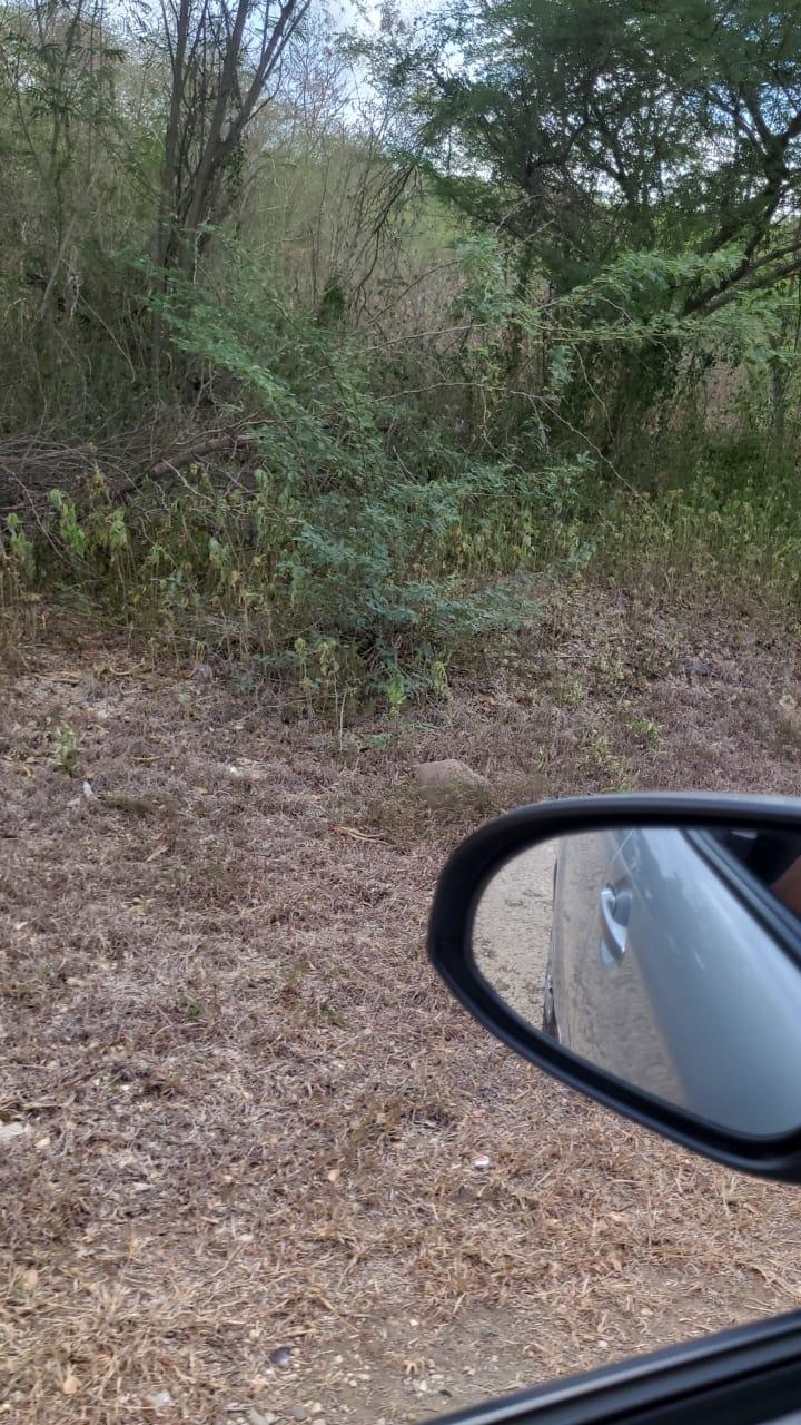 Fifth image of Coates Pen in May Pen, Clarendon, Jamaica - property is For Sale