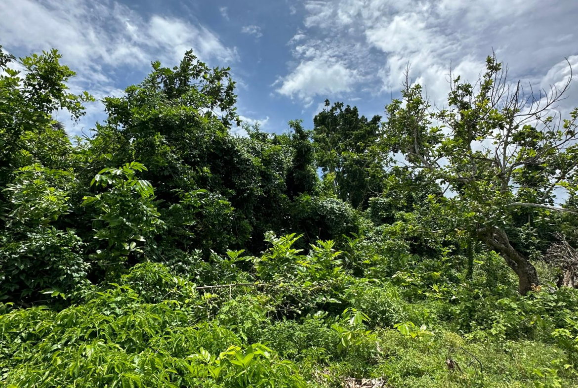 Second image of Cousin’s Cove in Cousins Cove, Hanover, Jamaica - property is For Sale