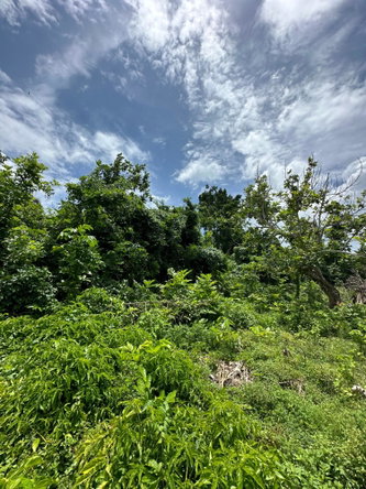 Second image of Cousin’s Cove in Cousins Cove, Hanover, Jamaica - property is For Sale
