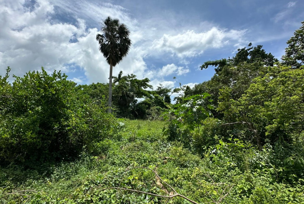 Eleventh image of Cousin’s Cove in Cousins Cove, Hanover, Jamaica - property is For Sale