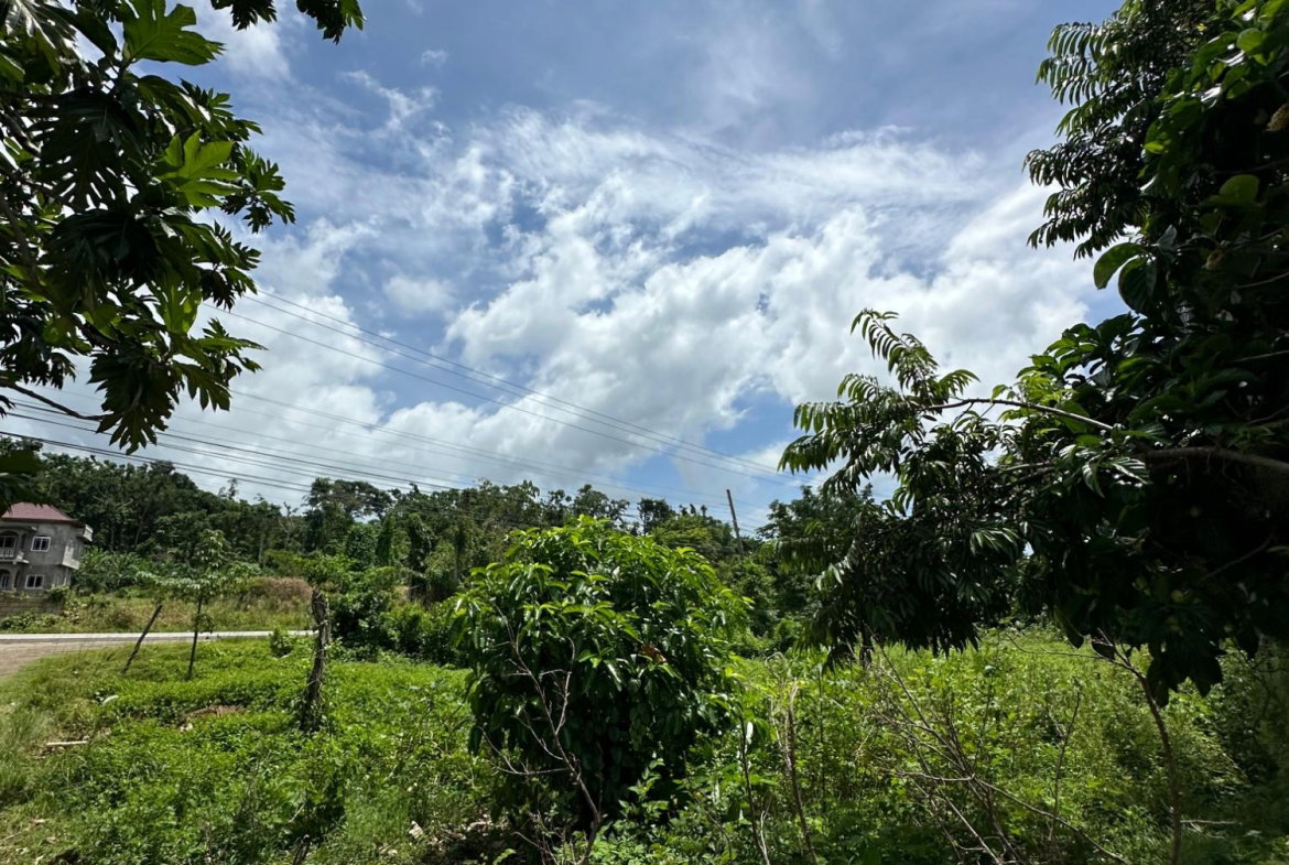 Twelfth image of Cousin’s Cove in Cousins Cove, Hanover, Jamaica - property is For Sale