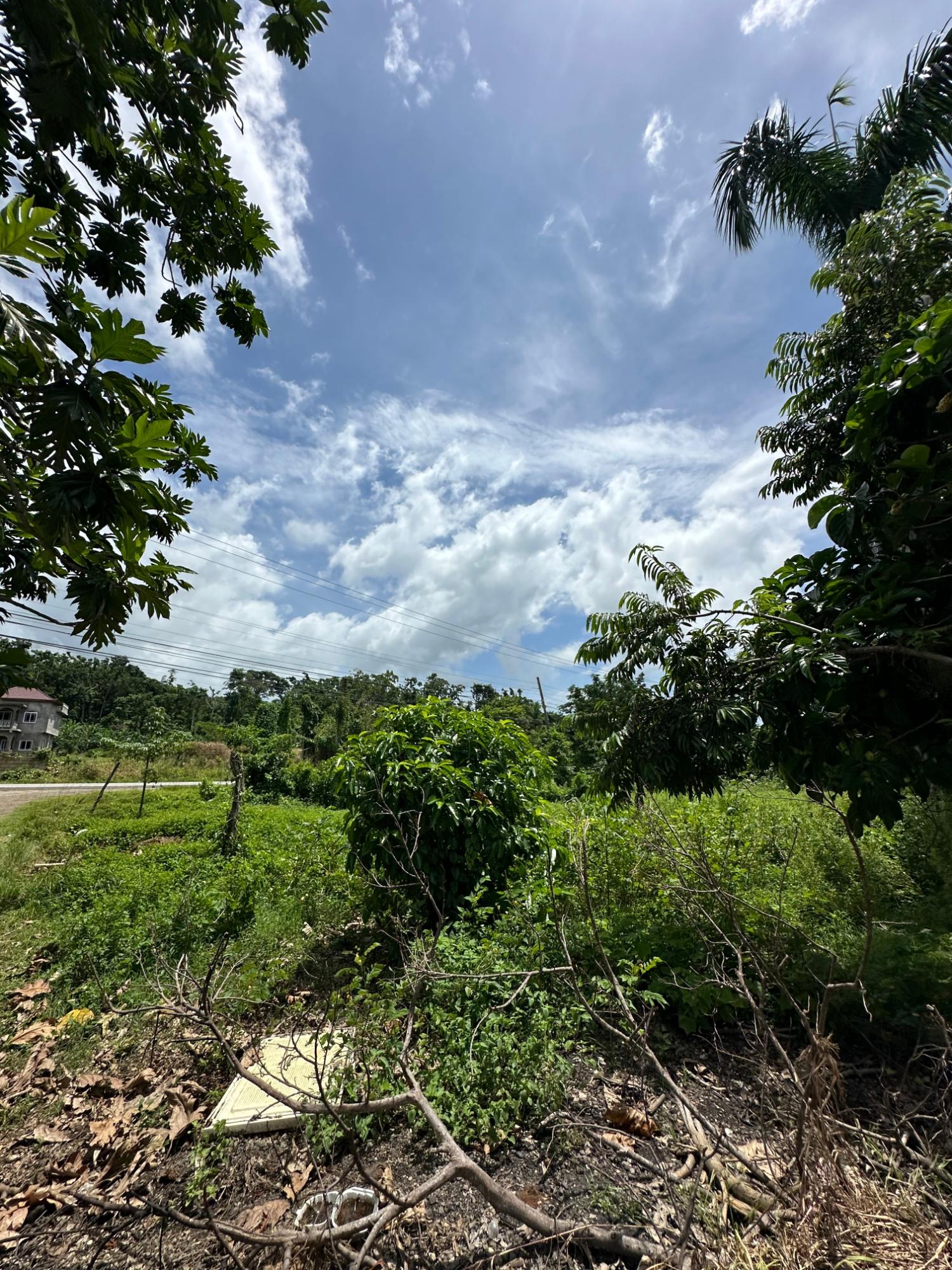Twelfth image of Cousin’s Cove in Cousins Cove, Hanover, Jamaica - property is For Sale