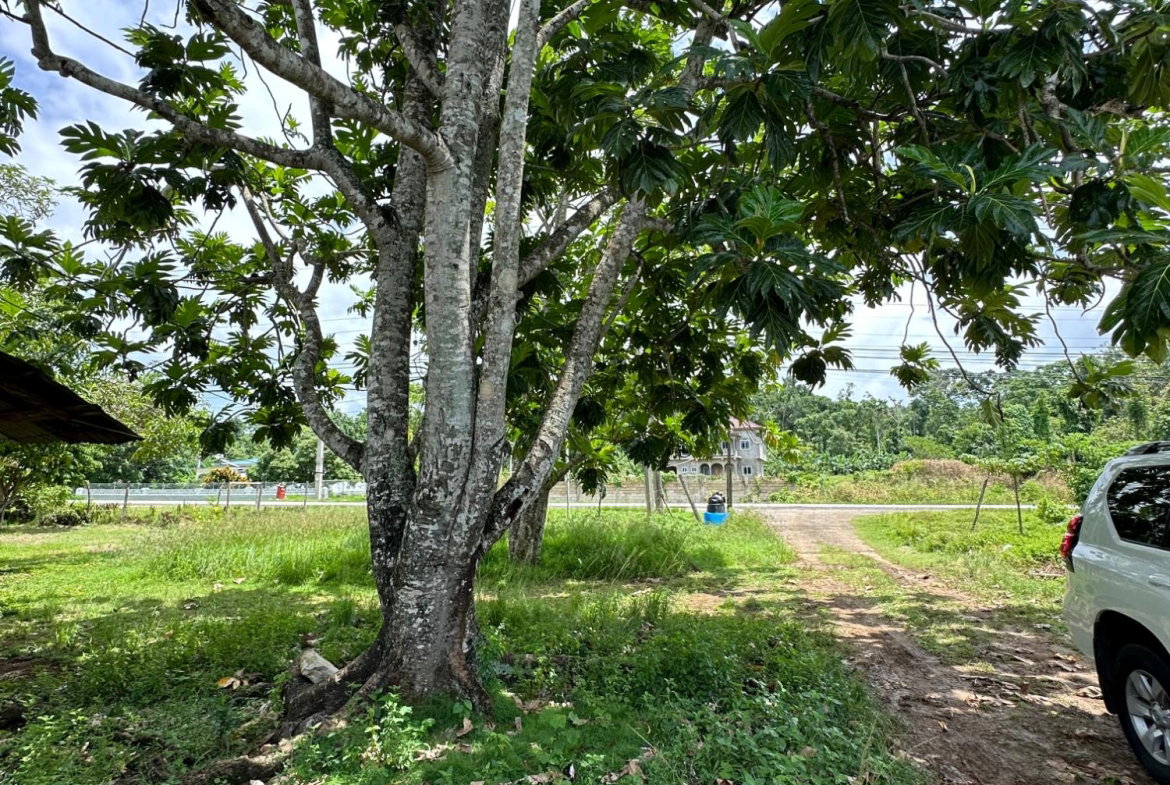 Thirteenth image of Cousin’s Cove in Cousins Cove, Hanover, Jamaica - property is For Sale