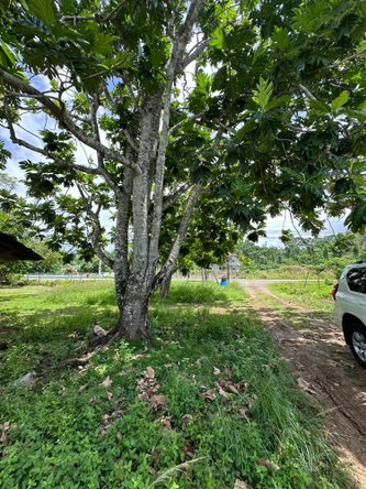 Thirteenth image of Cousin’s Cove in Cousins Cove, Hanover, Jamaica - property is For Sale
