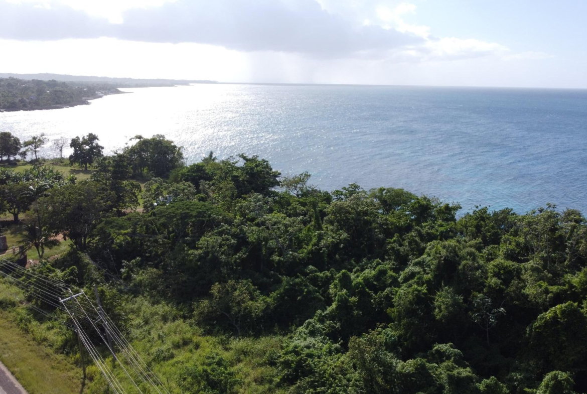 Fourteenth image of Cousin’s Cove in Cousins Cove, Hanover, Jamaica - property is For Sale