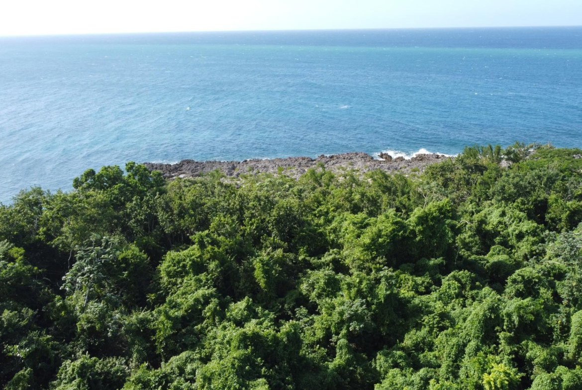 Sixteenth image of Cousin’s Cove in Cousins Cove, Hanover, Jamaica - property is For Sale