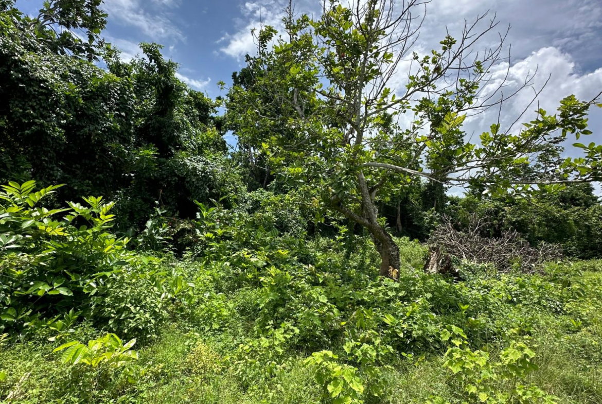 Third image of Cousin’s Cove in Cousins Cove, Hanover, Jamaica - property is For Sale