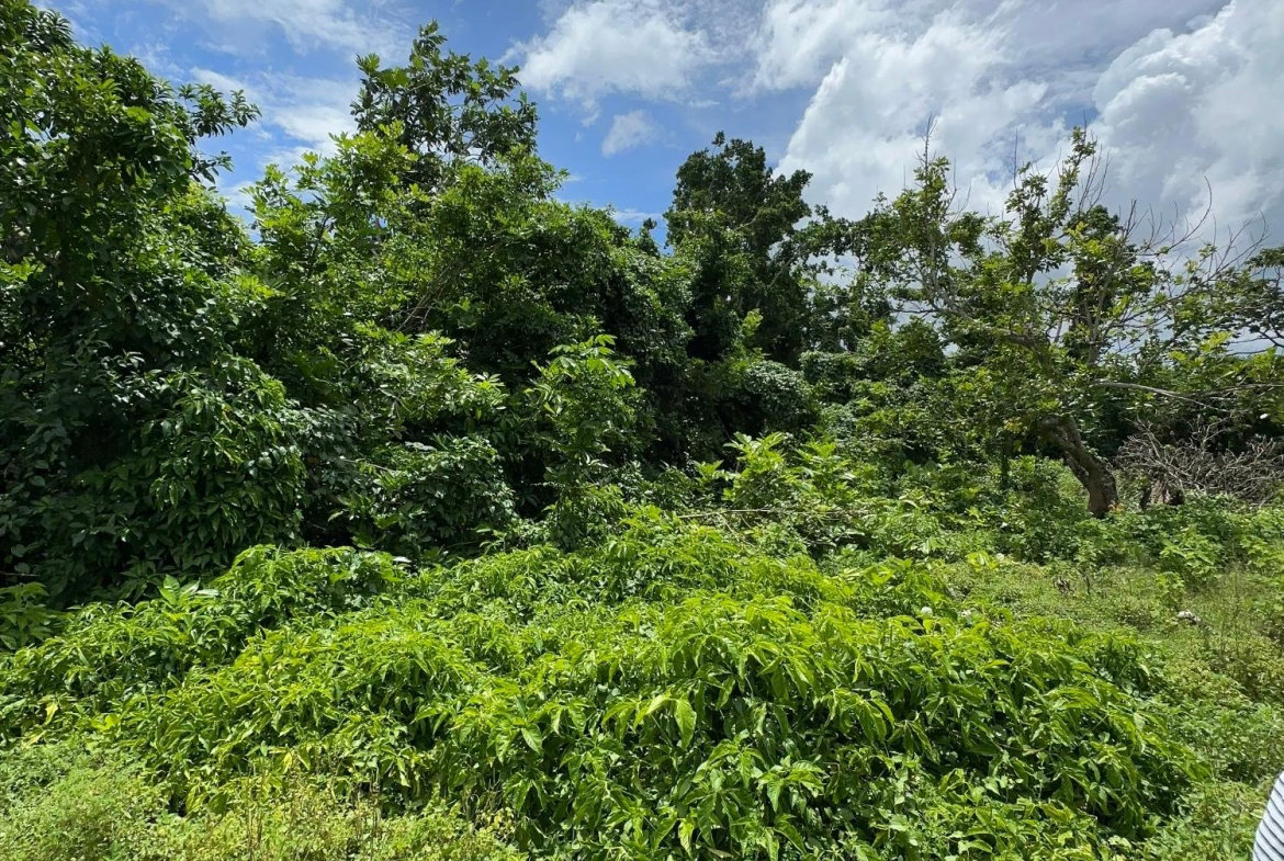 Fifth image of Cousin’s Cove in Cousins Cove, Hanover, Jamaica - property is For Sale