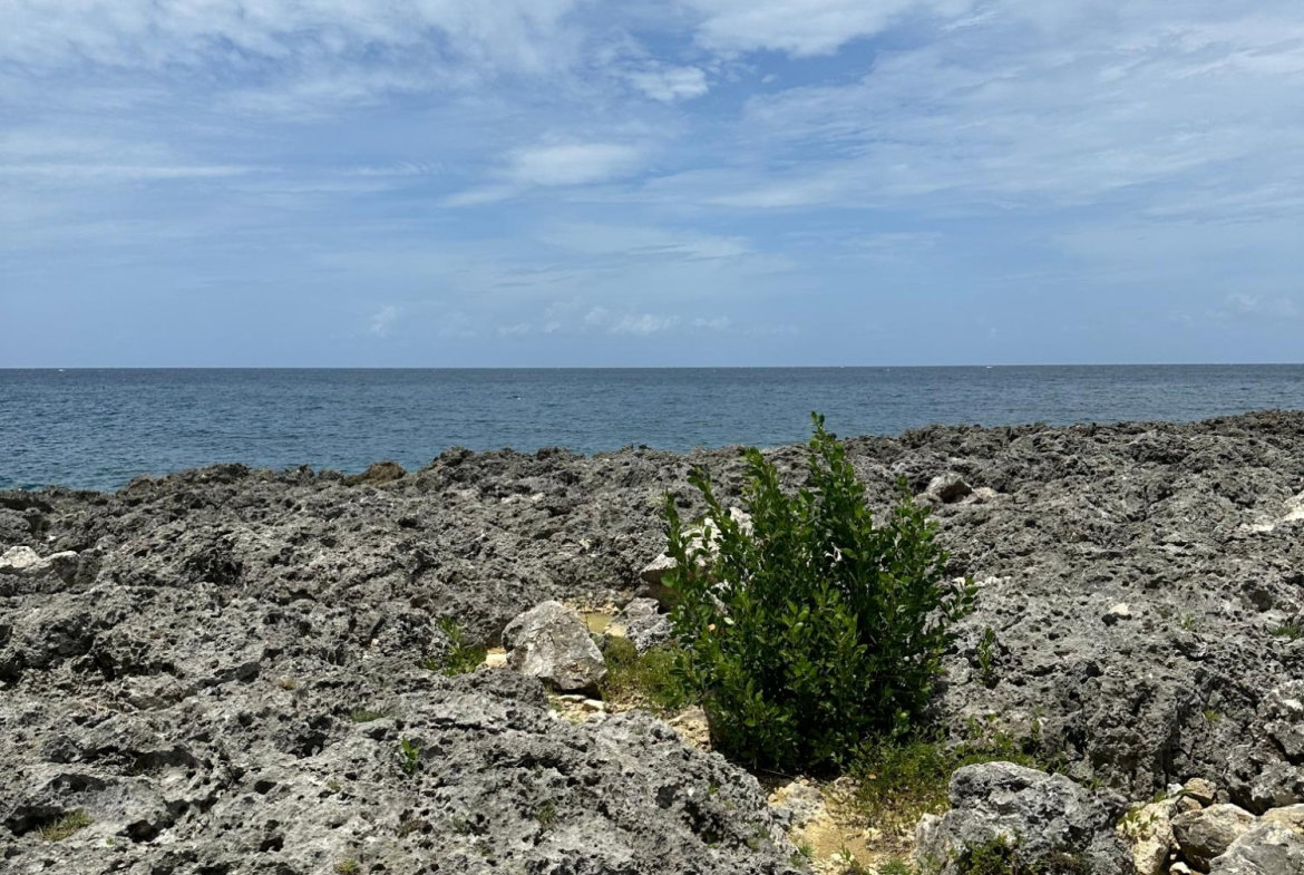 Sixth image of Cousin’s Cove in Cousins Cove, Hanover, Jamaica - property is For Sale