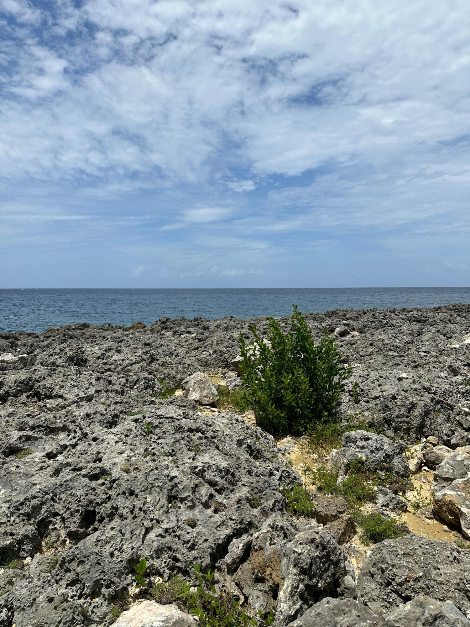 Sixth image of Cousin’s Cove in Cousins Cove, Hanover, Jamaica - property is For Sale