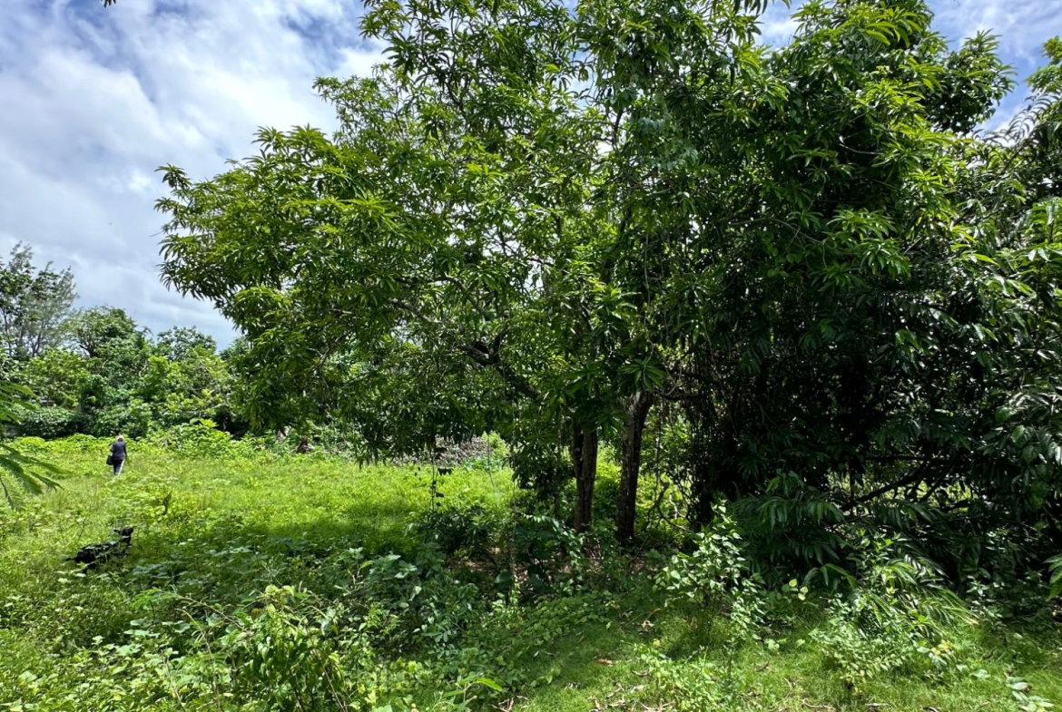 Tenth image of Cousin’s Cove in Cousins Cove, Hanover, Jamaica - property is For Sale