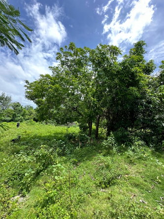 Tenth image of Cousin’s Cove in Cousins Cove, Hanover, Jamaica - property is For Sale