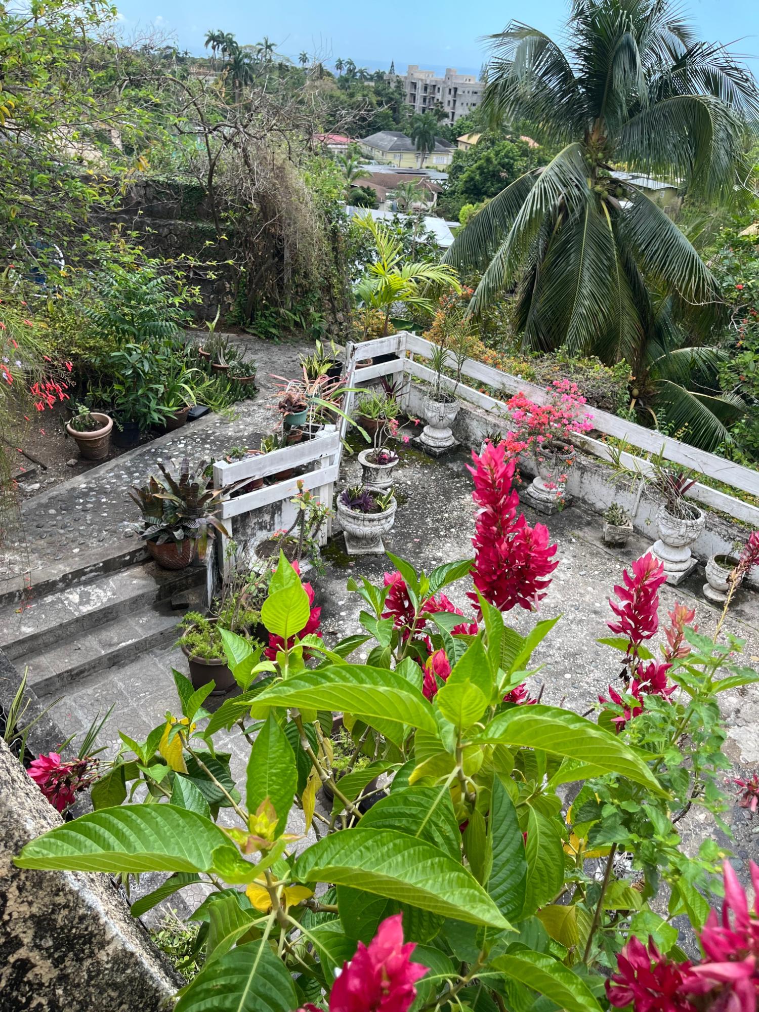 Nineteenth image of Apt C-1a Bridgemount Heights, King in Kingston 8, St. Andrew, Jamaica - property is For Rent