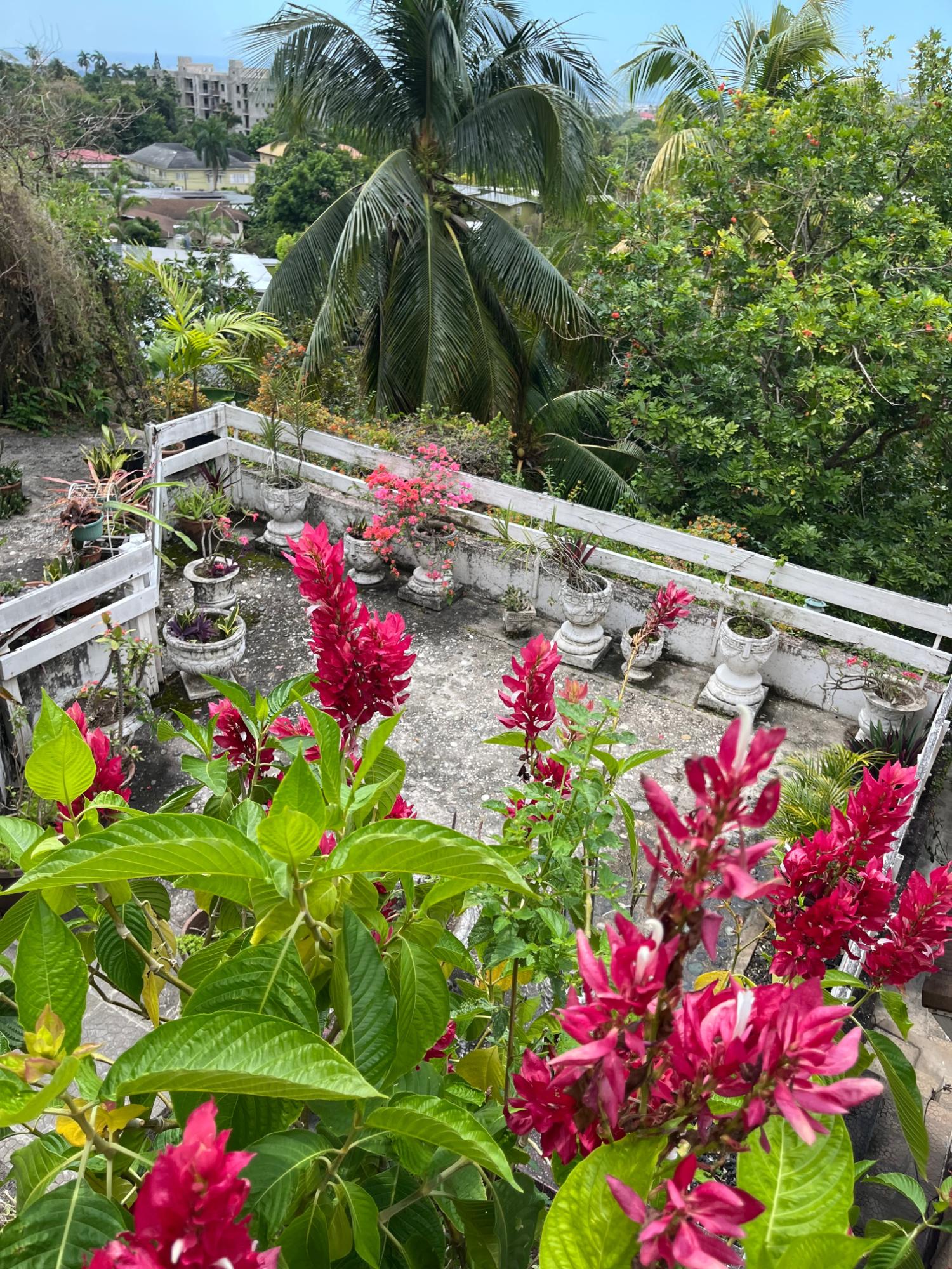 Third image of Apt C-1a Bridgemount Heights, King in Kingston 8, St. Andrew, Jamaica - property is For Rent