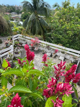 Third image of Apt C-1a Bridgemount Heights, King in Kingston 8, St. Andrew, Jamaica - property is For Rent
