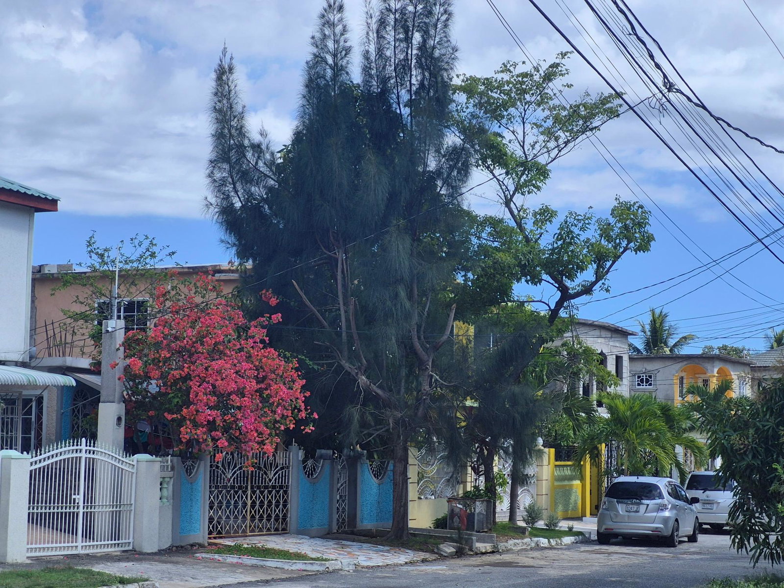 Sixteenth image of 9 Magenta Close, Angels Gro in Angels, St. Catherine, Jamaica - property is For Rent
