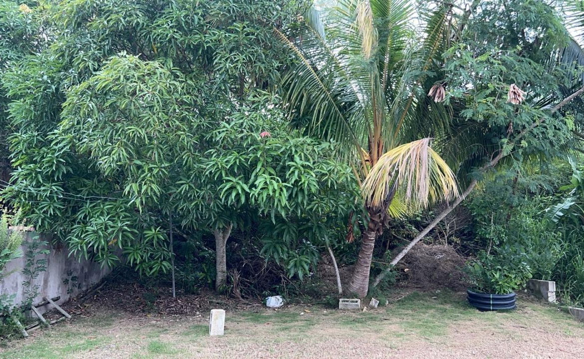 Thirteenth image of 209 Mahagony Crescent in Irwin, St. James, Jamaica - property is For Rent