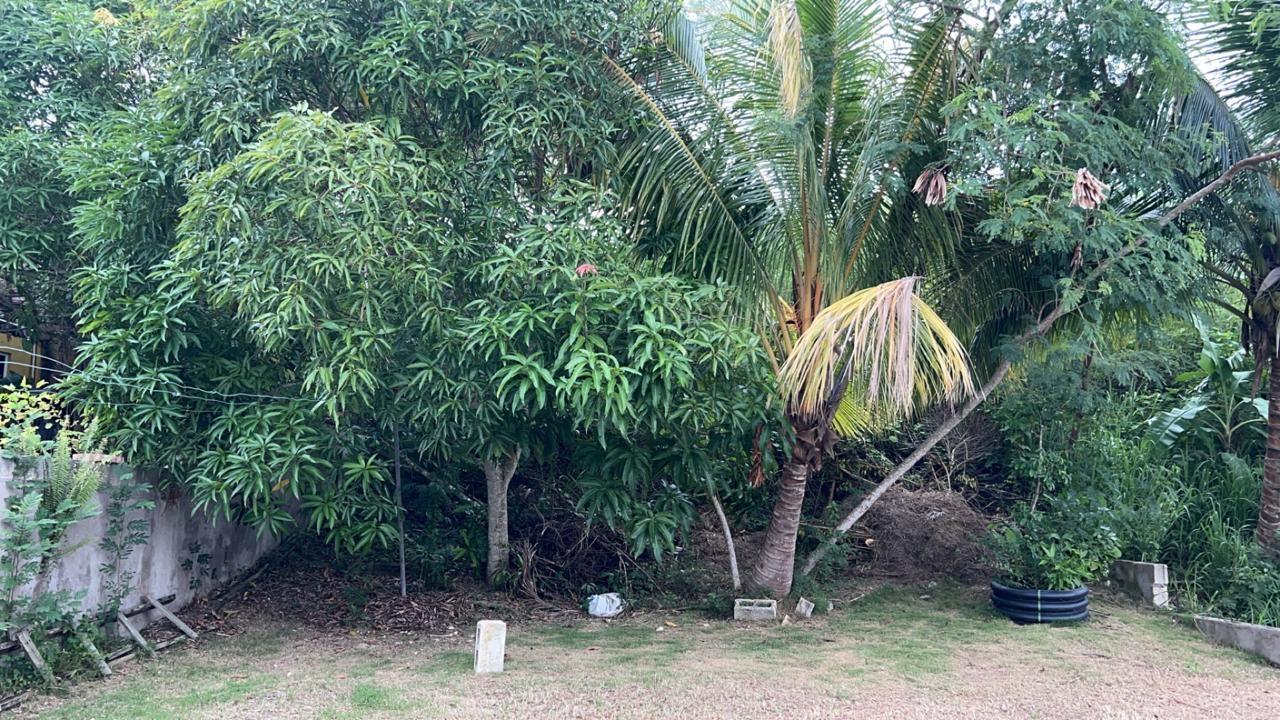 Thirteenth image of 209 Mahagony Crescent in Irwin, St. James, Jamaica - property is For Rent