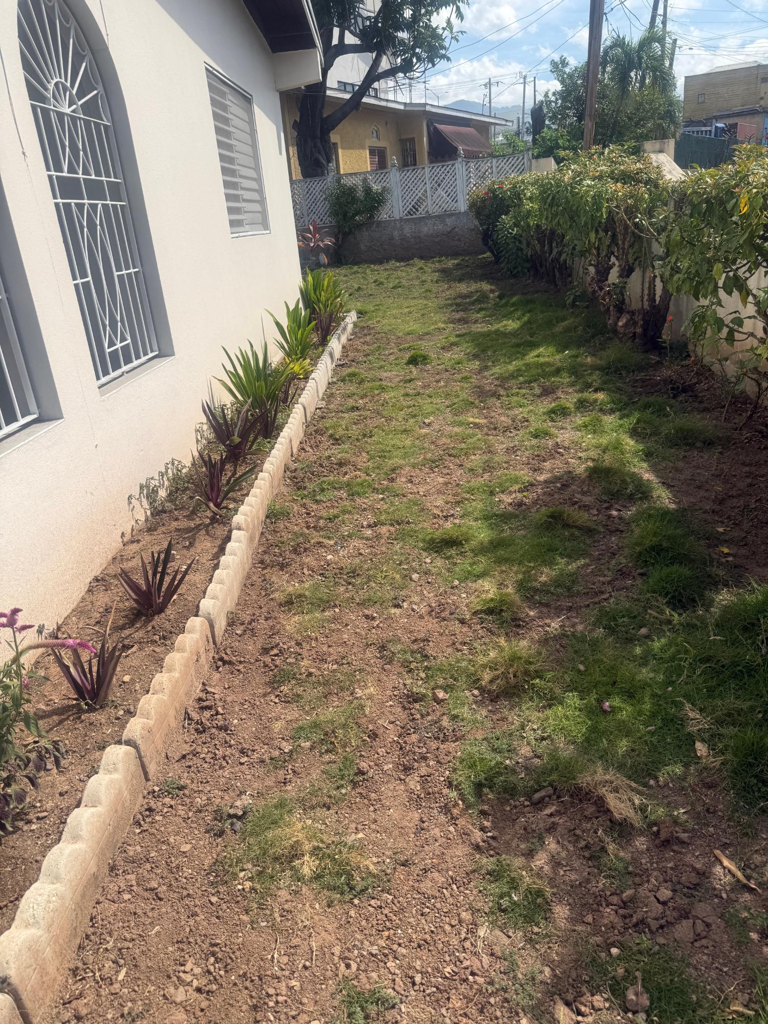Eighteenth image of 23 Retreat Drive in Constant Spring P.O., St. Andrew, Jamaica - property is For Rent