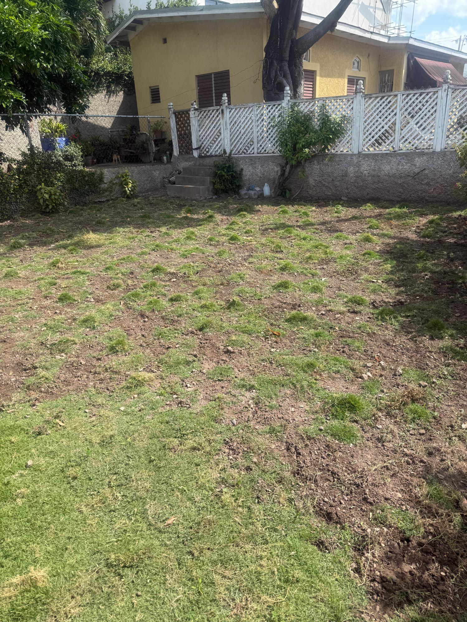 Nineteenth image of 23 Retreat Drive in Constant Spring P.O., St. Andrew, Jamaica - property is For Rent
