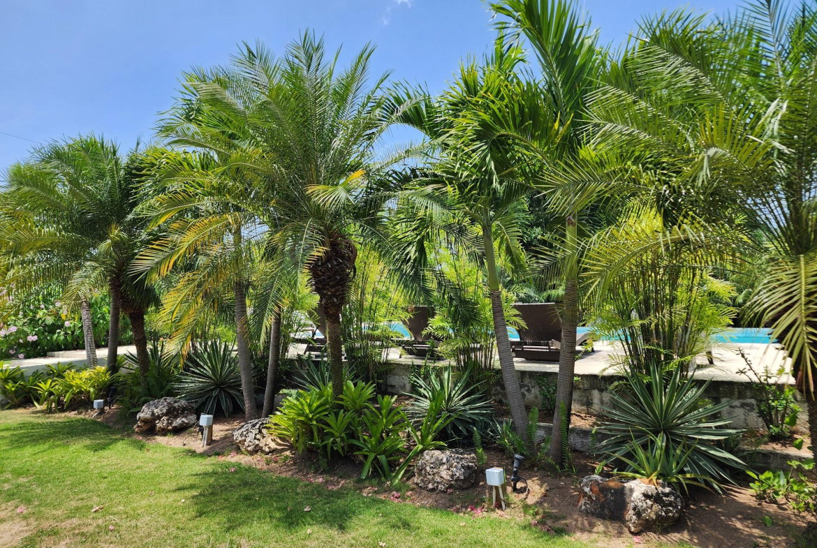 First image of 7 Earls Court in Kingston 8, St. Andrew, Jamaica - property is For Rent