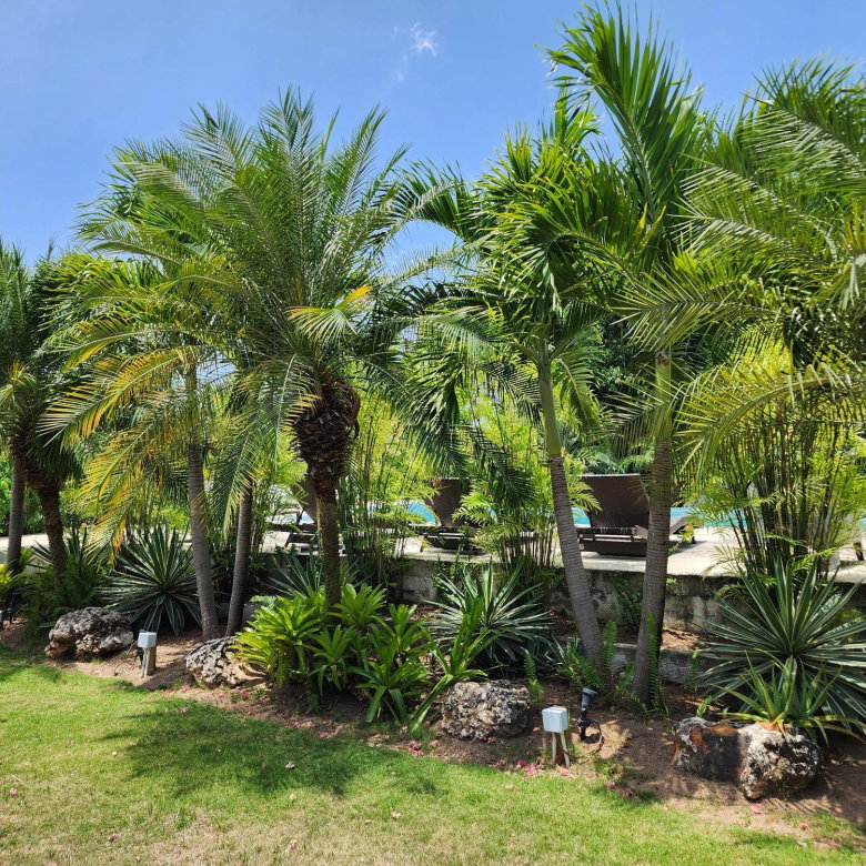 First image of 7 Earls Court in Kingston 8, St. Andrew, Jamaica - property is For Rent