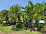 First image of 7 Earls Court in Kingston 8, St. Andrew, Jamaica - property is For Rent