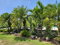 First image of 7 Earls Court in Kingston 8, St. Andrew, Jamaica - property is For Rent