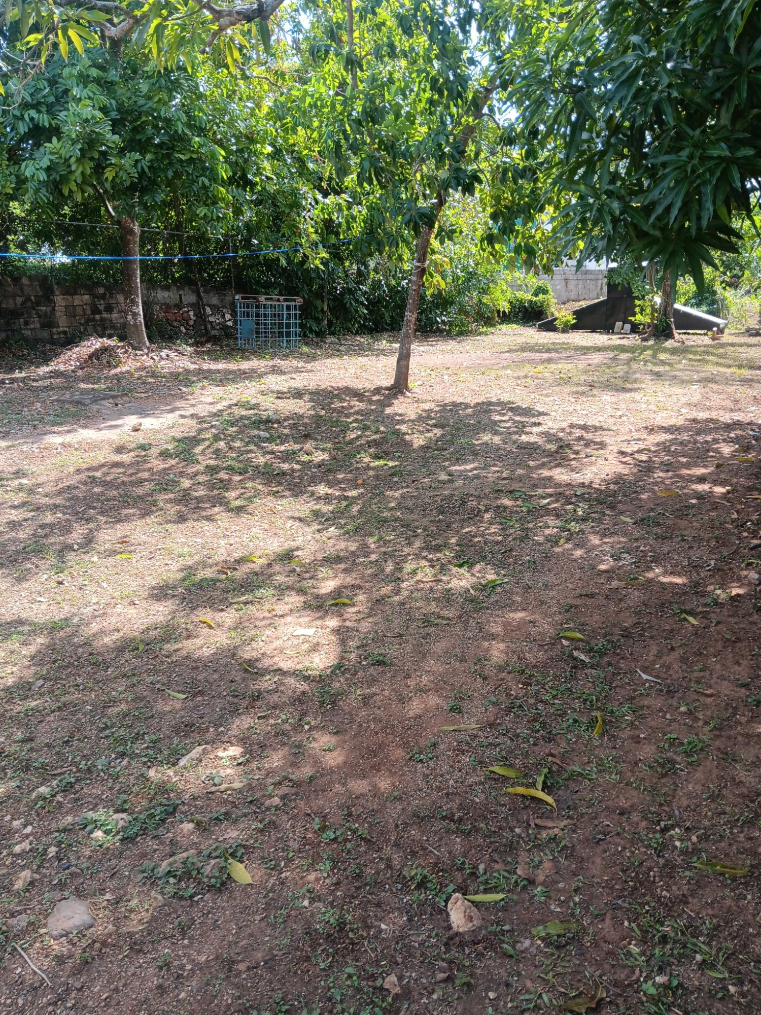 Twentieth image of 2a Palm Avenue in May Pen, Clarendon, Jamaica - property is For Sale