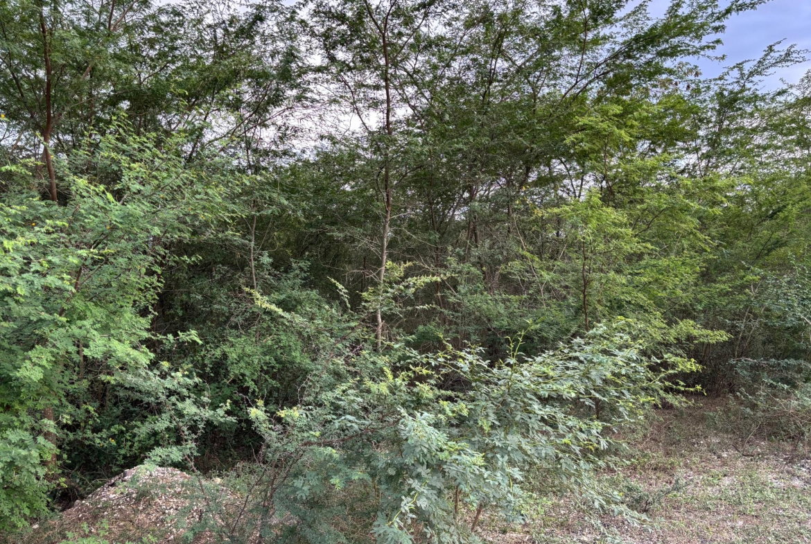 Second image of Howell's Content, Clarend in Four Paths, Clarendon, Jamaica - property is For Sale