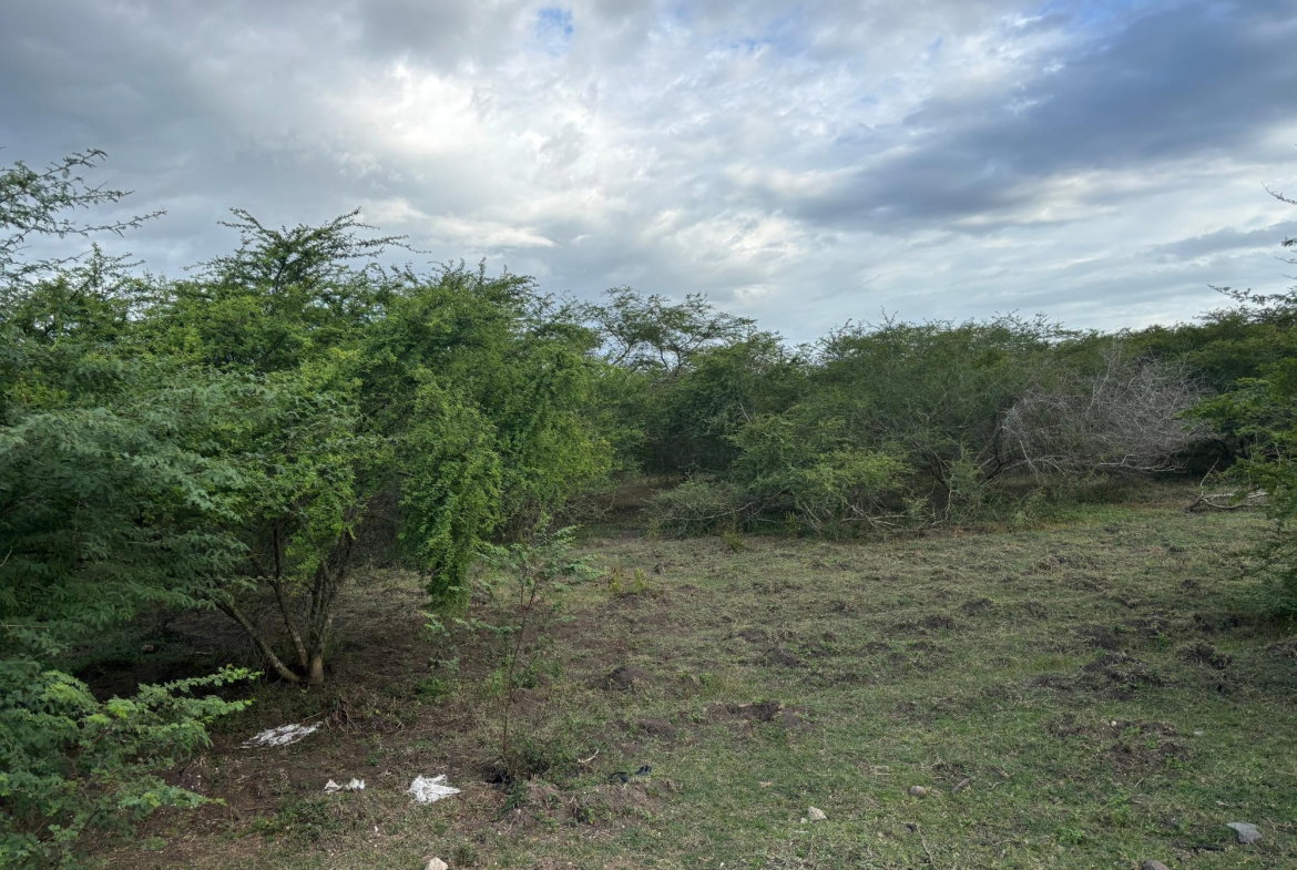 Eleventh image of Howell's Content, Clarend in Four Paths, Clarendon, Jamaica - property is For Sale