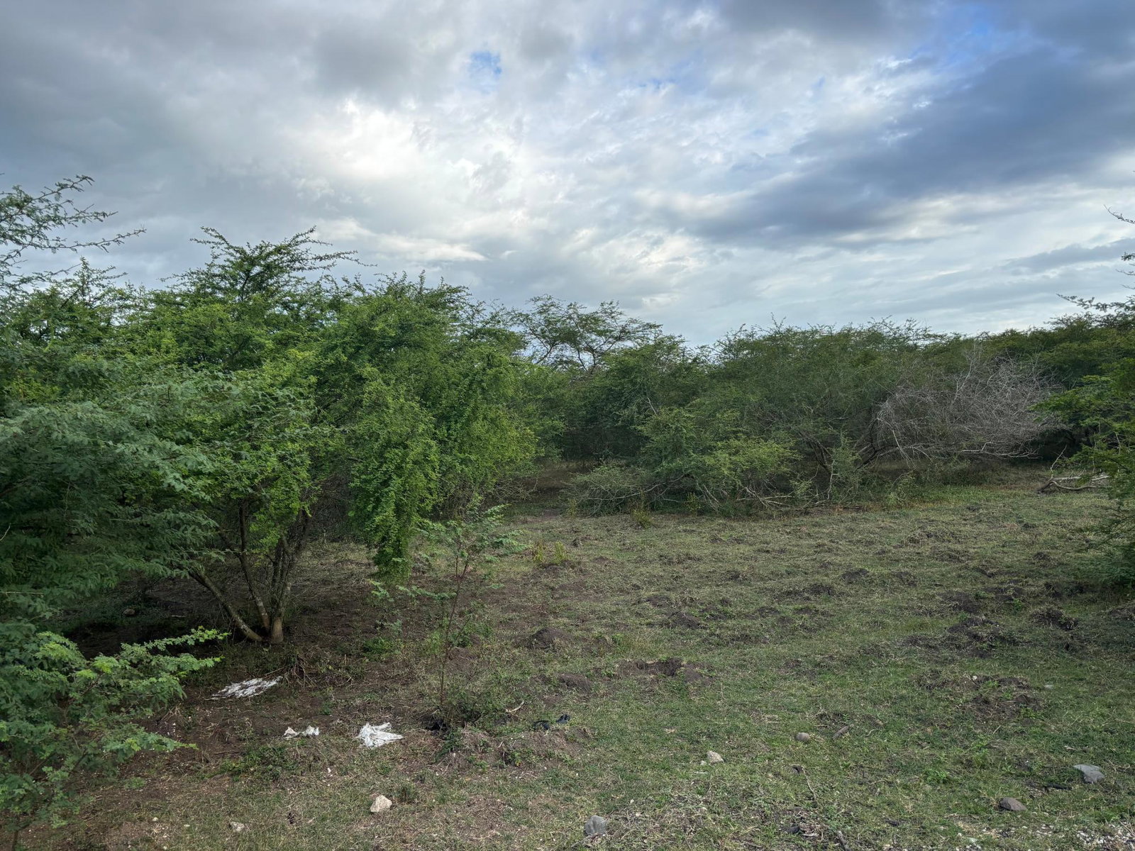 Eleventh image of Howell's Content, Clarend in Four Paths, Clarendon, Jamaica - property is For Sale