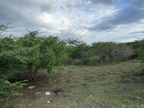 Eleventh image of Howell's Content, Clarend in Four Paths, Clarendon, Jamaica - property is For Sale