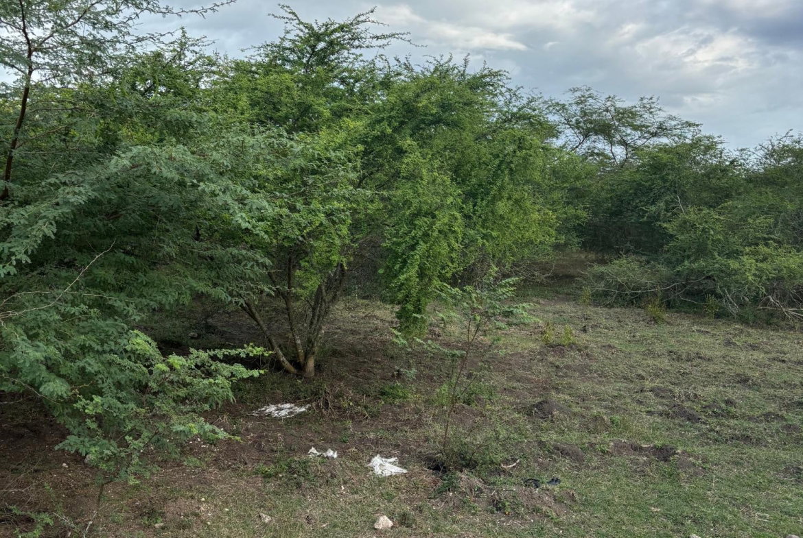 Twelfth image of Howell's Content, Clarend in Four Paths, Clarendon, Jamaica - property is For Sale