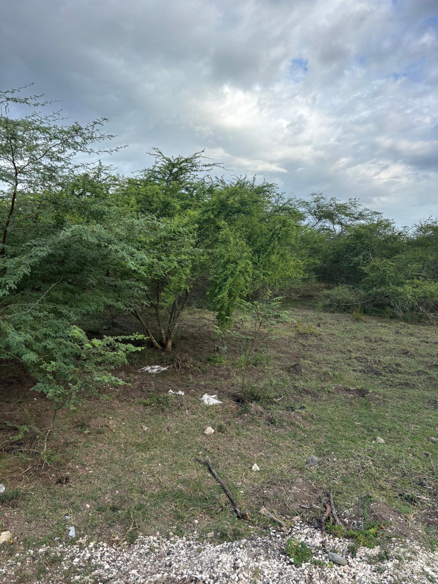 Twelfth image of Howell's Content, Clarend in Four Paths, Clarendon, Jamaica - property is For Sale