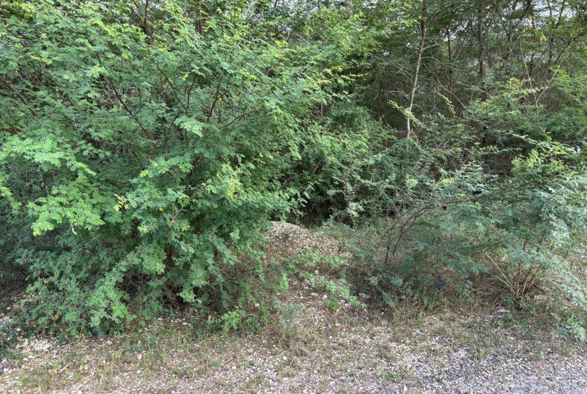 First image of Howell's Content, Clarend in Four Paths, Clarendon, Jamaica - property is For Sale