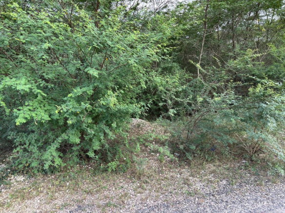 First image of Howell's Content, Clarend in Four Paths, Clarendon, Jamaica - property is For Sale