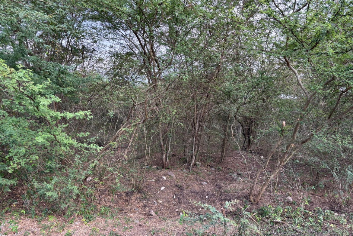 Seventh image of Howell's Content, Clarend in Four Paths, Clarendon, Jamaica - property is For Sale