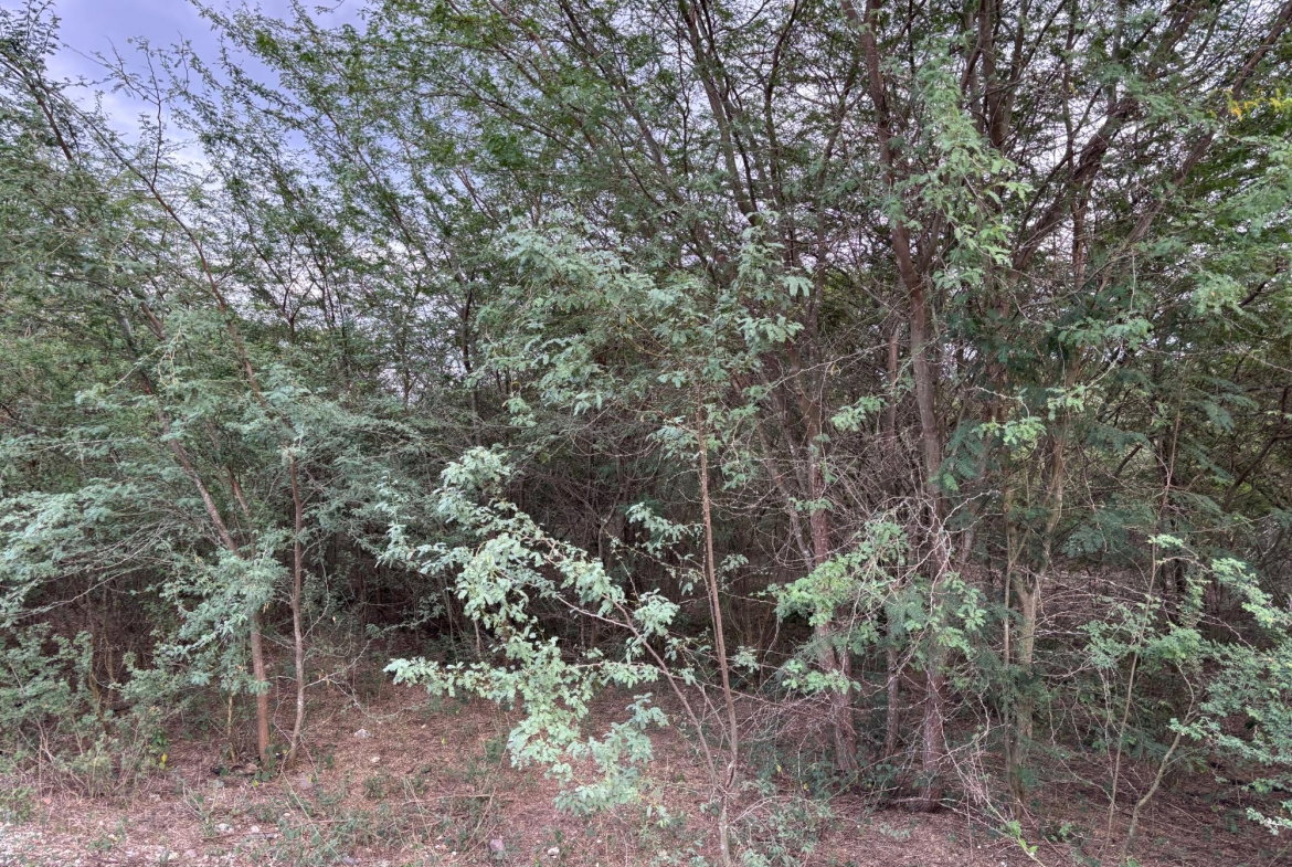 Eighth image of Howell's Content, Clarend in Four Paths, Clarendon, Jamaica - property is For Sale