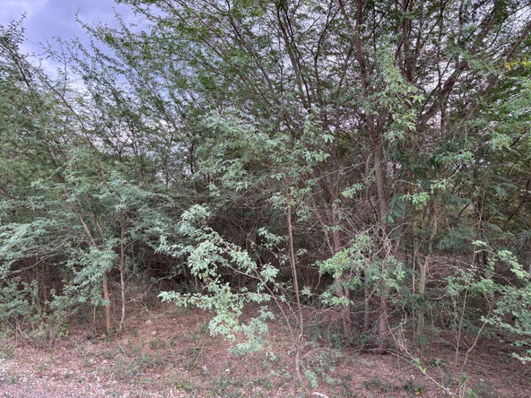 Eighth image of Howell's Content, Clarend in Four Paths, Clarendon, Jamaica - property is For Sale