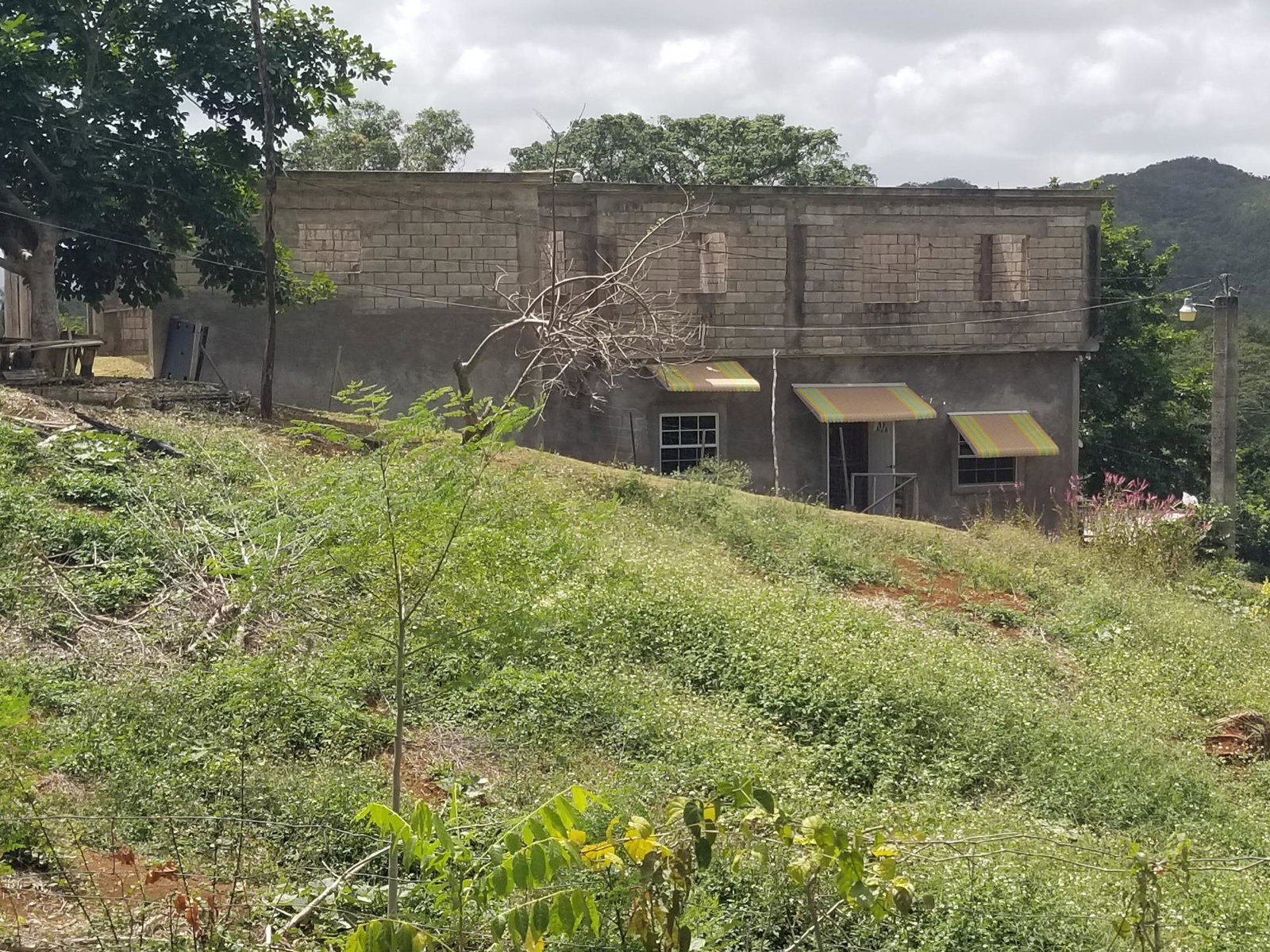 Third image of Berrydale , Scotts Pass, in Scotts Pass, Clarendon, Jamaica - property is For Sale