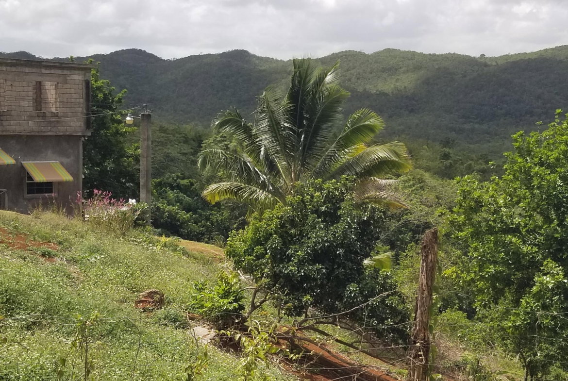 Fourth image of Berrydale , Scotts Pass, in Scotts Pass, Clarendon, Jamaica - property is For Sale