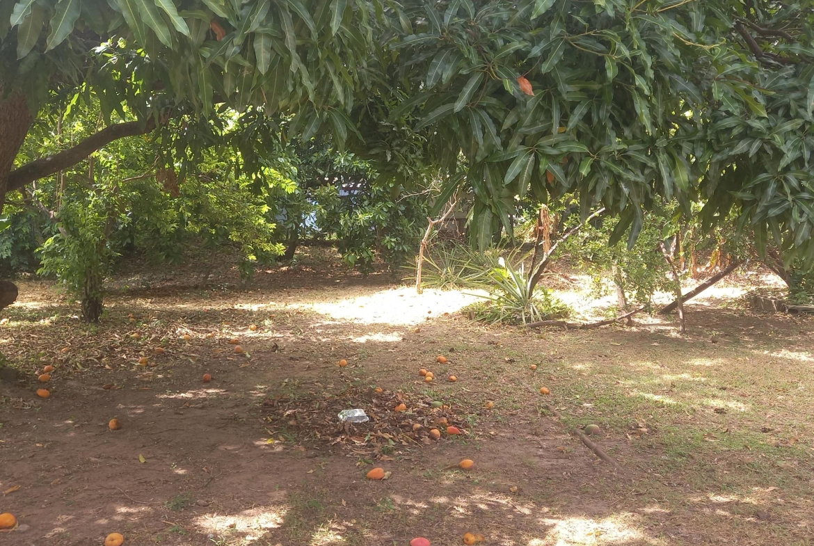 Fourteenth image of 102 Havendale Drive in Kingston 19, St. Andrew, Jamaica - property is For Sale