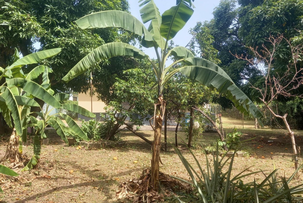 Fifteenth image of 102 Havendale Drive in Kingston 19, St. Andrew, Jamaica - property is For Sale