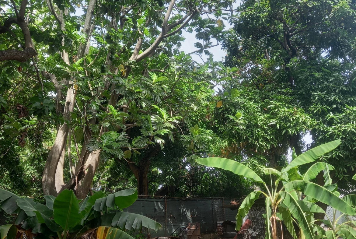 Sixteenth image of 102 Havendale Drive in Kingston 19, St. Andrew, Jamaica - property is For Sale